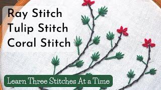 Learn Hand Embroidery Stitches - Coral Stitch, Ray Stitch, Tulip Stitch