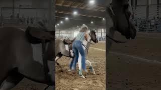 #nsca #omoksee #horse #rodeo #horseshow #western #westernriding #youtubeshorts #subscribe