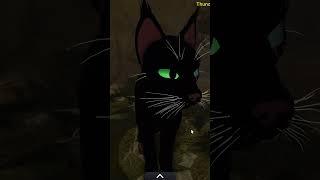 wheres emerald?  #warriorcats #wcue #roblox