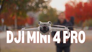 What Makes the DJI Mini 4 Pro Stand Out?