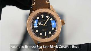 Aquatico Bronze Sea Star Black Bronze Bezel