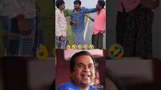 funny comedy #funnyvideos #funnyshorts #funnycats #telugu #inspirtional# #telugu