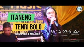 Suara Joss!! Nabila Wulandari ~ Lagu Bugis ITANENG TENRI BOLO | Alink Musik