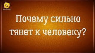 Сильное притяжение к человеку, к мужчине. Кармическая любовь.