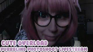 The Purrblind Cute overload Photoshoot
