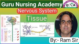 Nervous System By- Ram Sir (Guru Nursing Academy- jaipur)