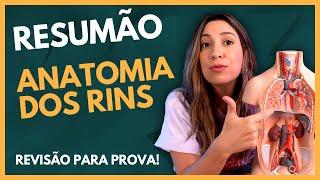 Resumão: ANATOMIA DOS RINS