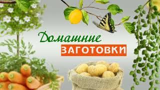 Заставка программы "Домашние заготовки"/Video of the TV program "Homemade"