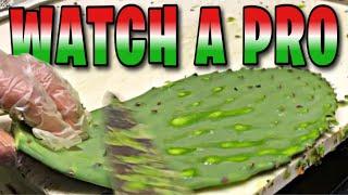I ️  How To Peel Cactus Like A Pro | Nopal Peeling Process | Eat Cactus Like A Mexican #Shorts