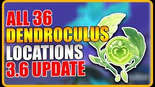 ALL DENDROCULUS Locations 3.6 Sumeru Desert with timestamps | Genshin Impact 3.6 guide