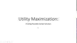 Utility Maximization with Corner Solution