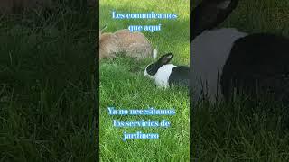 JARDINEROS EN CASA