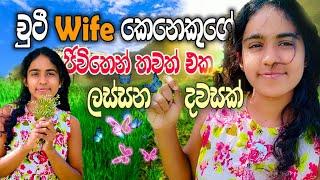 චූටි wife කෙනෙක් විදියට මම ගෙවන සරල ජීවිතෙන් දවසක්  #dailyvlog #vlog