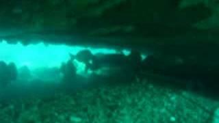 PE wreck dive spearfishing a bronzebream  Kapodistrias