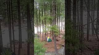 Natures beauty is truly breathtaking #natureexploration #mountains #trees #watersounds