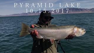 Big Cutthroat Trout Gets Airborne! Fly Fishing Pyramid Lake - October 15, 2017