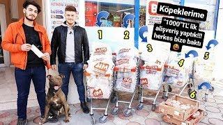 KÖPEKLERİME BİM'DEN ''1000 TL'' LİK ALIŞVERİŞ YAPTIK!! BİM'DE OLAY ÇIKTI!!!