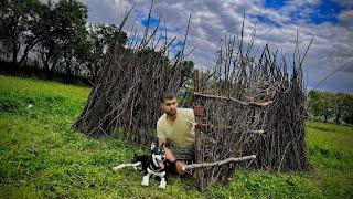 Building a Wooden Haven in Nature‘s