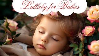 Lullaby for Babies to go to Sleep | Music for Babies | Baby Lullaby songs go to sleep 2 HOURS