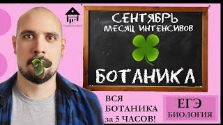 Вся БОТАНИКА за 5 ЧАСОВ! |ЕГЭ БИОЛОГИЯ|Freedom|