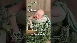 Rehan(ریحان) Islamic Baby Boys Name With Meaning In Urdu Hindi #muslimname #urdufact #boysbame