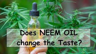 Neem Oil: How & When To Apply