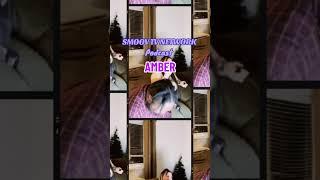 Amber Interview SMOOV TV NETWORK #baltimore #electronicmusic #music #dj #housemusic #edm #hiphop