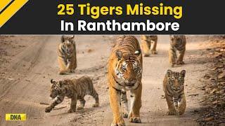 Ranthambore Tiger Crisis: 25 Tigers Missing, Chief Wildlife Warden Pavan Kumar Upadhyay Speaks Out