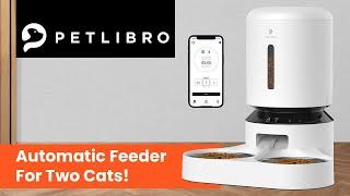 Petlibro Automatic Feeder for two cats - Feeder For Multiple Cats