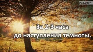 Видеоурок классный час на тему 'Подготовка к выходу на природу'