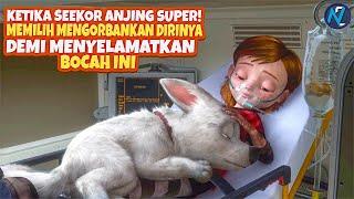 ANJING INI MENGIRA DIA MEMILIKI KEKUATAN SUPER I CERITA ANIMASI