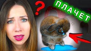 МОЙ КРОЛИК Страдает НОВЫЙ ПИТОМЕЦ ? ЧТО СЛУЧИЛОСЬ ??? | Elli Di Pets