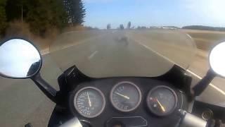 Птичка против "Катаны". Poor bird vs Suzuki gsx600f "katana".