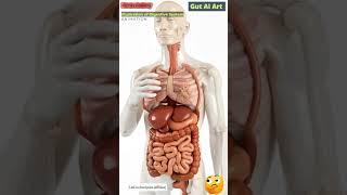 Digestive System Animation | Gut AI Art | 229