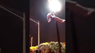 Not bad moves at all!! Must see!!