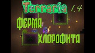 Ферма хлорофита Terraria 1.4.3.2