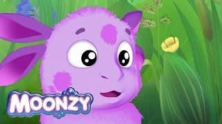 Moonzy | Dream | Episode 2 | Cartoons for kids