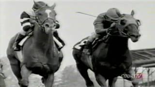 The Fall of Calumet Farm and the Death of Alydar