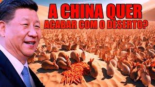 Porque a China deixou 1 Milhão de Coelhos no deserto?!