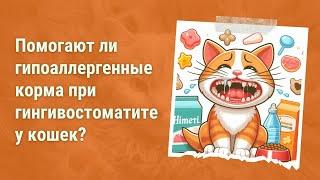 Помогают ли гипоаллергенные корма при гингивостоматите у кошек?