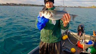 Fresh Clams Produce Big Bass on my Longline ! Super Dingy Long lining