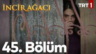 İncir Ağacı 45. Bölüm