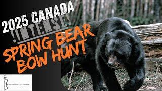Alberta Canada Bear Hunt 2025