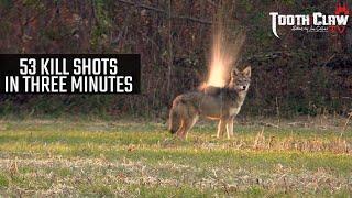 53 Kill Shots In 3 Minutes - Coyote Hunting