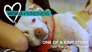 WQED + Kindness: Your Rescue Dog Realtor