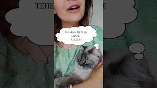 Реакция кота на песню! Колыбельная  ️ ЛАЙК КОТИКУ #youtubeshorts #shorts #cats