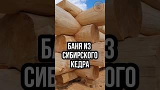 БАНЯ ИЗ КЕДРА - ХИТ ЗАГОРОДНОГО СТРОИТЕЛЬСТВА!  #Shorts