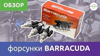 Форсунки ГБО - BARRACUDA. Краткий обзор