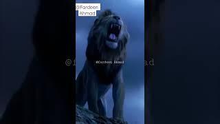 mera Mola Haider Haider 