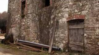 Providing a home for Barn Owls